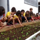 Educação E Sustentabilidade