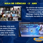 Aprendizagem Significativa  - 2° ano 