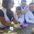 Biologia Forense no Colégio