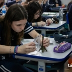 Estudando Escalas - 6º ano