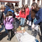 Feira de adoção no La Salle Canoas é um sucesso