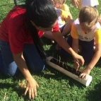 Projeto Horta Escolar do Período Integral