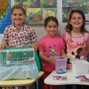 Bichinhos de Estimação na Sala de Aula