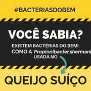 Posts em Biologia mostram benefícios das bactérias