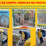 Pesquisa de Campo: Ciência na Prática - 1°anos 