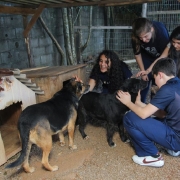 CCOCEL visita Centro de Bem-Estar Animal