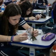 Estudando Escalas - 6º ano