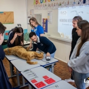 Workshop das Profissões UCS - 9º ano e Ensino Médio