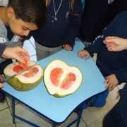 Qual o sabor de uma Toranja? O Pré 1 provou!