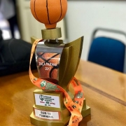 Basquetebol Feminino Campeão da Taça Paraná Sub 15