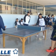 Novas Mesas de Ping-Pong