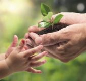 05 de Junho: Dia Mundial do Meio Ambiente