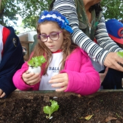 Alunos do 2º ano/EF participam de aula na fazenda