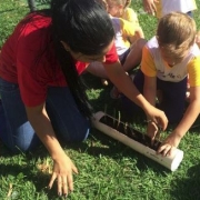 Projeto Horta Escolar do Período Integral