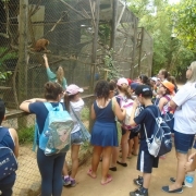 3º Ano no Parque Getúlio Vargas