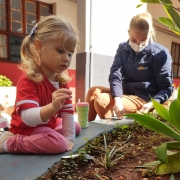 Ecodetetives da Creche II descobrem a natureza