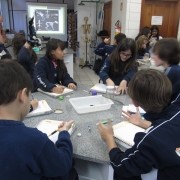 Terceiros anos têm aula especial no laboratório