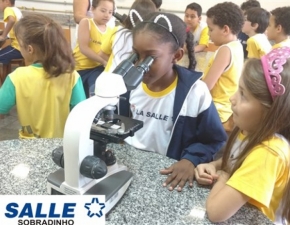 Visita dos 2º anos ao Laboratório