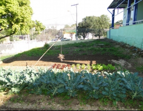 Plantando Sementes, Colhendo Amor!