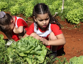 Atividade Ecológica na Educação Infantil