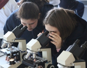 5º ano do EF constrói célula