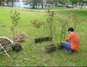 Colégio La Salle Esteio realiza atividades de sensibilização ambiental na semana da criança.