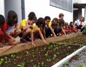 Educação E Sustentabilidade