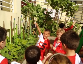 Gincana La Salle 2015 - Educação Infantil