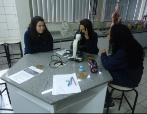 Diversidade Microbiana na Turma 221