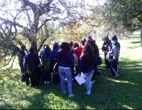 Visita ao Jardim Botânico