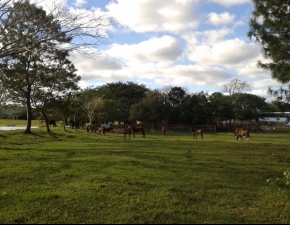 3º Ano faz visita a Zona Rural de Porto Alegre