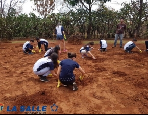 Cajubaixo: Atividade de Campo