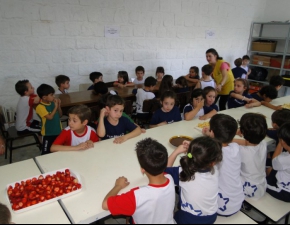 Tarde da fruta no palito na educação infantil!