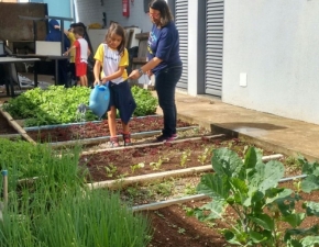 Alimentação Saudável 