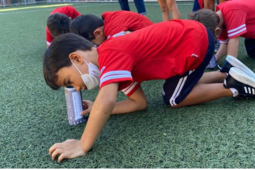 Educação Infantil