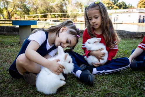 Educação Infantil